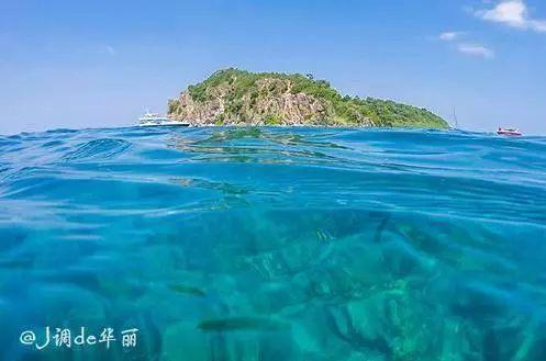 城区梅花盛放 市民公园邂逅“梅”好