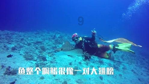 美图秀秀下载2023最新版