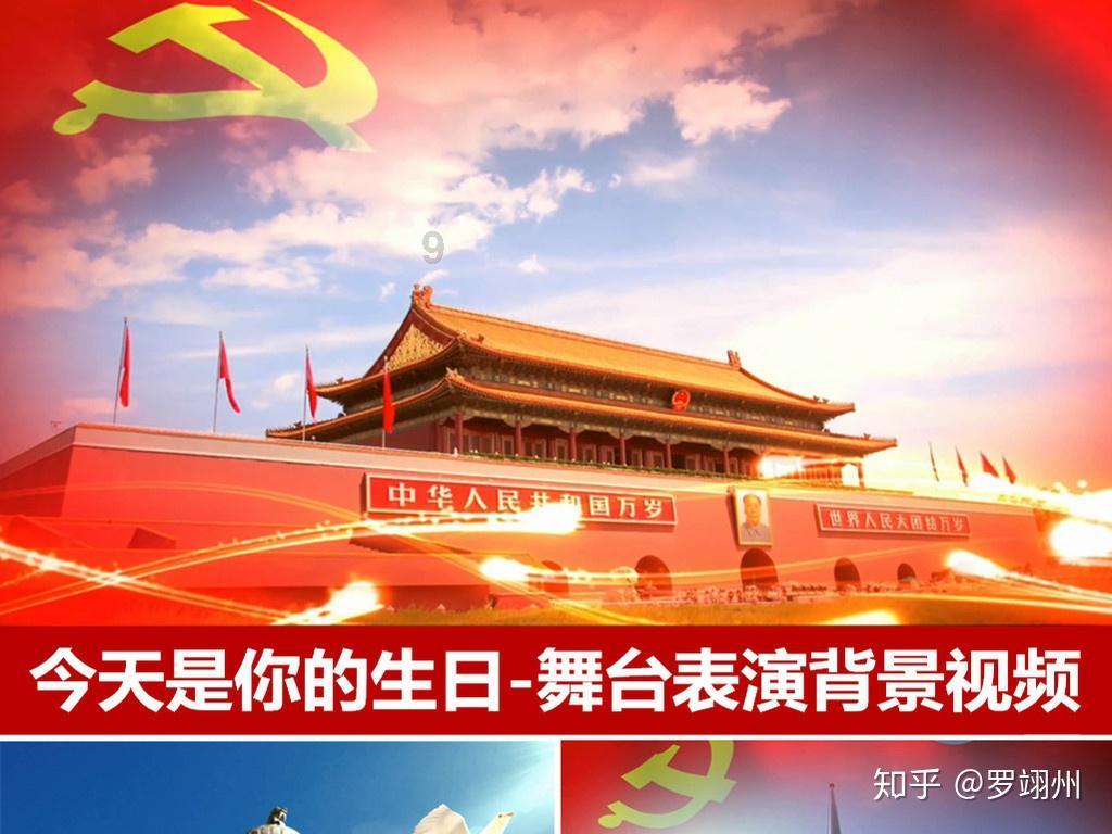 五彩鹦鹉救援
